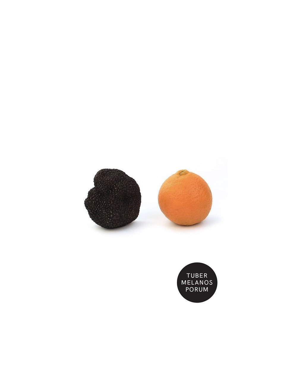 WINTER BLACK TRUFFLE | T. MELANOSPORUM XL |